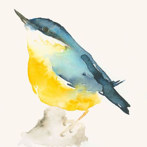 oiseau jaune et bleu Bird Watercolor Paintings, Bird Art Print, Yellow Bird, Watercolor Inspiration, Bird Drawings, Watercolor Bird, Yellow And Blue, Watercolor Animals, Birds Painting