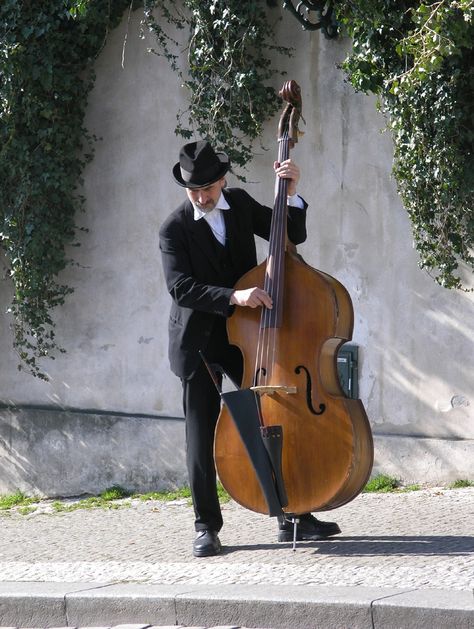 Bass Cello, Learn Violin, Chara Design, Double Bass, Jazz Band, Bass Player, Music Photo, Big Band, Chanel Paris