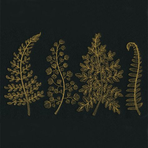 Fern Fronds | Urban Threads: Unique and Awesome Embroidery Designs Fern Cross Stitch, Fern Embroidery, Fantasy Embroidery, Embroider Ideas, Urban Threads, Basic Embroidery Stitches, Baby Lock, Sewing Embroidery Designs, Applique Embroidery Designs