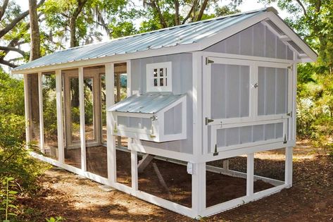 Carolina Coop, Poultry Farm Design, Walk In Chicken Coop, Chicken Coop Garden, Chicken Pen, Chicken Coop Run, Chicken Farming, Coop Design, Beautiful Chickens