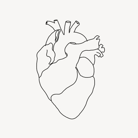 Human heart line art illustration | free image by rawpixel.com / Nardsucha Human Heart Doodle, How To Draw A Heart Organ Step By Step, Human Heart Line Art, Real Heart Drawing Easy, How To Draw A Heart Organ, Real Heart Outline, Human Heart Drawing Easy, Heart Organ Drawing, Ema Shin