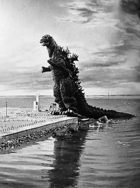 Godzilla Raids Again, Godzilla Suit, Original Godzilla, Godzilla Funny, Japanese Show, Sci Fi Props, Godzilla Wallpaper, All Godzilla Monsters, Japanese Monster