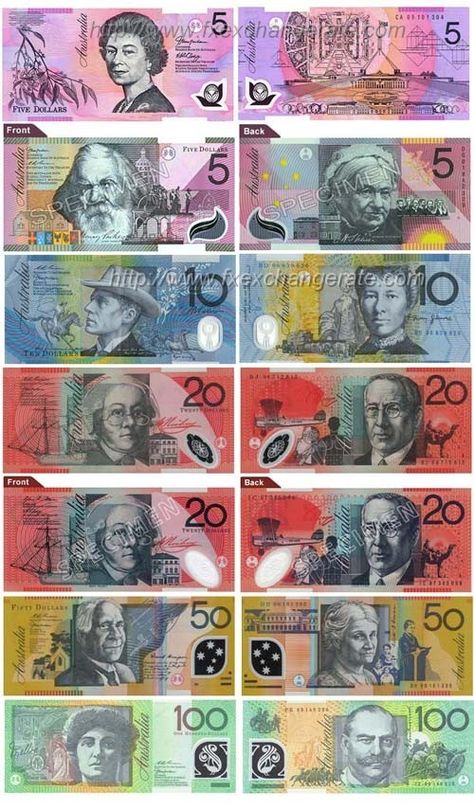 Banknotes Design, Australian Money, Money Poster, Canadian Money, Dollar Note, Money Printables, Dollar Banknote, Transportation Preschool, Currency Design