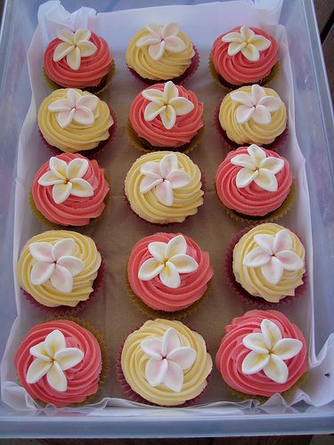 Mossy's masteriece - frangipani cupcakes | Flickr - Photo Sharing! Hibiscus Flower Cupcakes, Moana Cupcakes Ideas, Birthday Party Hawaiian Theme, Plumeria Cupcakes, Frangipani Cupcakes, Moana Cupcake, Moana Birthday Party Theme, Moana Theme Birthday, Festa Moana Baby