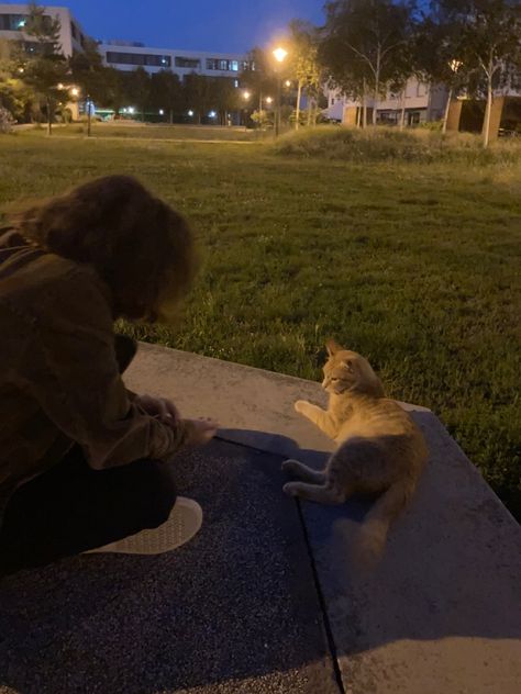 cats | night aesthetic | summer evenings Hattie Aesthetic, Summer Evening Aesthetic, Cats Night, Night Walking Aesthetic, Cats Outside, Summer Icon, Aesthetic Summer, Night Aesthetic, Summer Evening