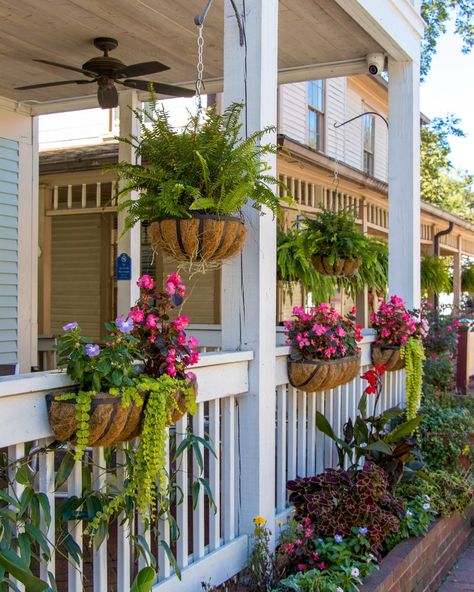 Land Scape Design, Exterior Christmas Decorations, Apartment Porch, Front Porch Plants, Front Porch Garden, Front Porch Flowers, Summer Porch Decor, Porch Plants, Porch Flowers