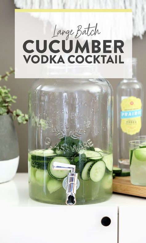 Nothing is more refreshing than this cucumber vodka cocktail on a hot summer day. If you need to serve a crowd, you're going to love this large batch vodka cocktail recipe! Cocktail Large Batch, Cucumber Martini Recipe, Cucumber Vodka Drinks, Cucumber Drink, Cucumber Cocktail, Cucumber Vodka, Pitcher Cocktails, Mint Cocktails, Mason Jar Drinks