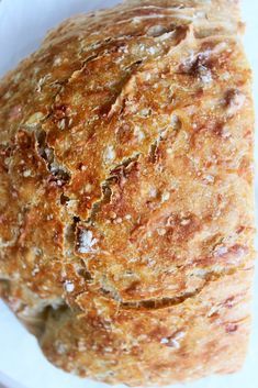 Oatmeal Bread Recipe, Recipe Oatmeal, Dutch Oven Bread, Knead Bread Recipe, Oatmeal Bread, Artisan Bread Recipes, Dutch Oven Recipes, No Knead Bread, Bread Bun