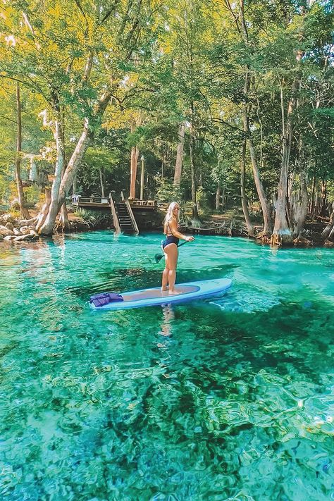 If this is your kind of water park, this is your kind of place. Lake City, Florida’s Springlands has some of the most highly regarded springs in the Southeast that you can float, swim or even swing into! Find out why Happy Happens Here! Lake City Florida, Blue Springs State Park, Florida Springs, Florida Lifestyle, Silver Springs, Best Vacation Spots, Festival Camping, Spring Lake, Beautiful Park