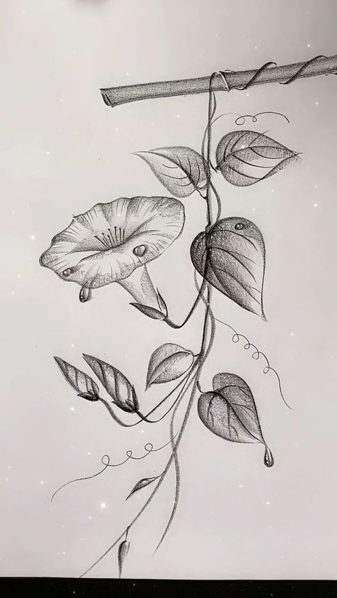 3d Pencil Drawings, Magic Runes, Pencil Drawings Of Flowers, Pencil Drawings For Beginners, Beautiful Flower Drawings, Flower Drawing Tutorials, Nature Art Drawings, Pencil Sketch Images, Flower Drawing Design