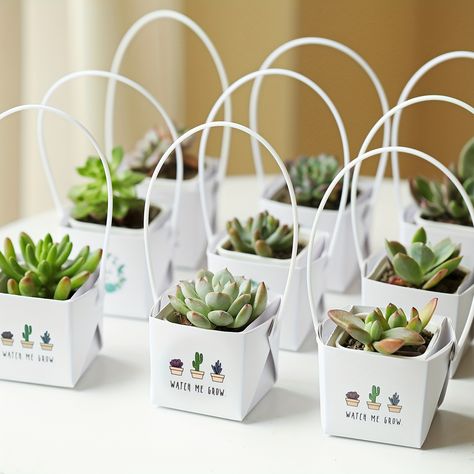 Simple Thank You Gifts, Succulent Boxes, Wooden Place Card Holders, Mini Gift Bags, Succulent Wedding Favors, Decorated Gift Bags, Table Centerpiece Decorations, Small Business Supplies, Gift Wrap Box