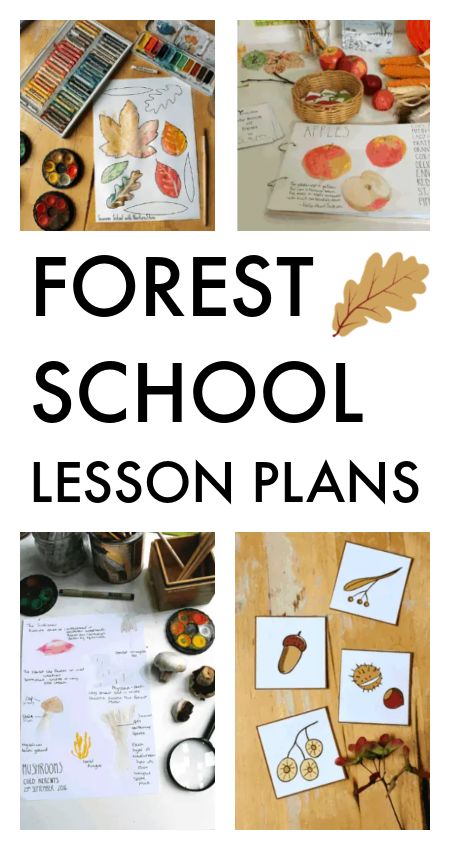 Forest school lesson plans - NurtureStore Forest Learning Activities, Outdoor Elementary Activities, Forest Lesson Plan, Forest School Planning, Forest Animal Unit Study, Homeschool Forest School, Forest School Lesson Plans, Forest Homeschooling, Forest School Ideas