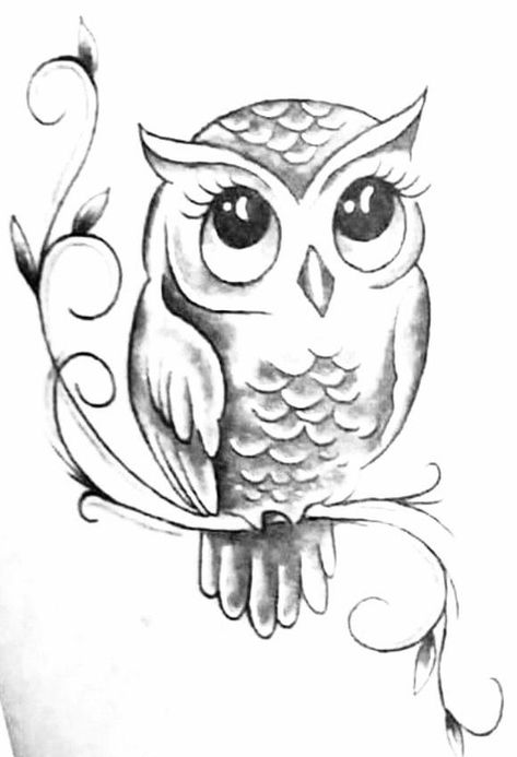 Flowers Tattoo Drawing, Drawing Sunflowers, Modele Zentangle, Owl Tattoo Drawings, Beautiful Pencil Drawings, Flower Tattoo Drawings, Yoda Funny, Men Tattoos, Owl Tattoo Design