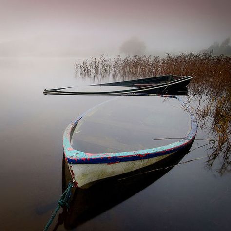 Boat Sinking, Row Row Your Boat, Row Boats, Float Your Boat, Old Boats, Boat Art, Canoes, Small Boats, Shipwreck