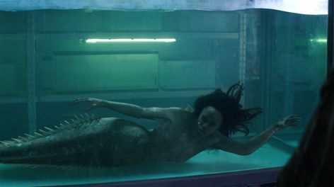 SIREN – “Pilot” – The coastal town of Bristol Cove, once known for being home to mermaids, is turned upside down with the arrival of a mysterious girl. This series premiere of “Siren” airs Thursday, March 29 (8:00-9:01 p.m. EDT) on Freeform. (Freeform)SIBONGILE MLAMBO Siren Tv Show, Sirens Tv, Professional Mermaid, Siren Mermaid, Mysterious Girl, Mermaid Art, Black Girls Hairstyles, Sirens, New Shows