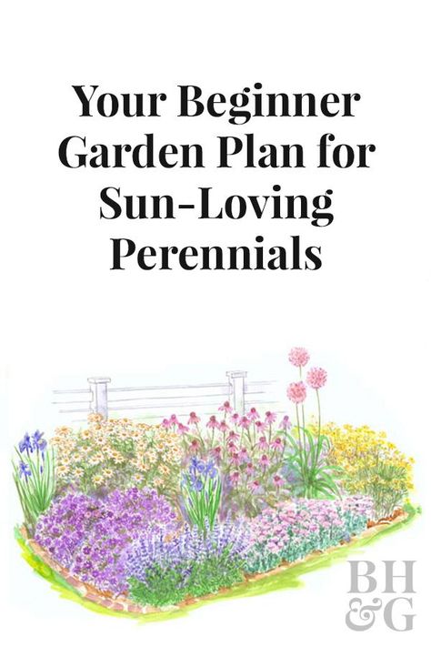 Our free planting guide for this garden includes a larger version of the illustration, a detailed layout diagram, a list of plants for the garden as shown, and complete instructions for installing the garden! Perrenial Gardens, Garden Beginner, Beginner Garden, Gardening Wedding, Gardening Illustration, Perennial Garden Design, Flower Garden Layouts, Full Sun Garden, Full Garden