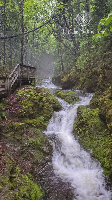 New Brunswick Road Trip - Fundy National Park 2-Day Itinerary — To Make Much of Time Acadian Culture, Canadian National Parks, Fundy National Park, Coastal Scenery, Waterfall Trail, Fall Hiking, 13 Days, North Beach, Beautiful Rocks