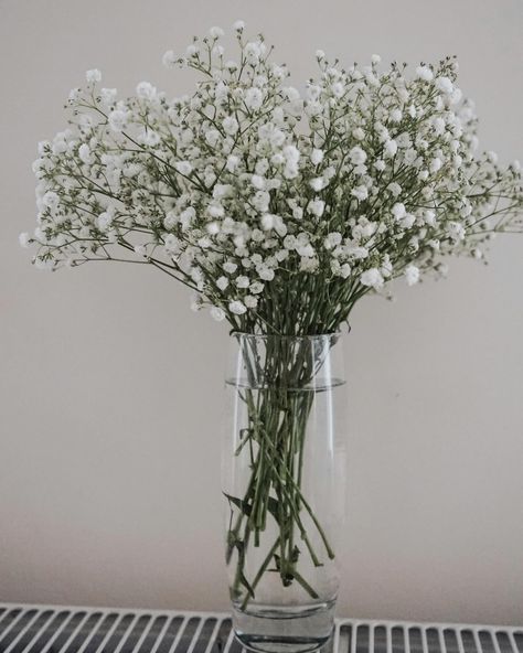 Our Gypsophila bouquet 😍 Flower Aesthetics, Gypsophila Bouquet, Favourite Flowers, Bedroom Decor, Vase, Plants, Flowers, On Instagram, Quick Saves