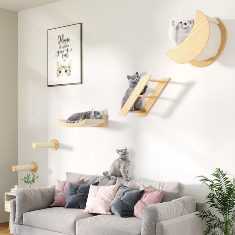 PRICES MAY VARY. Versatile Cat Wall Furniture: Elevate your cat's playtime with our multifunctional cat shelves. Designed for climbing, perching, scratching, and hiding, they provide various levels of activity and comfort Saving Space: Maximize optimized space with our Cat Hammock for Wall. Ideal for small or modern rooms, it allows your cat to climb and jump while reducing the impact on your living space Natural Material: Crafted from solid Pine wood, our Cat Wall Furniture offers durability an Cat Climber, Cat Wall Shelves, Cat Hammock, Wood Cat, Cat Wall, Cat Furniture, Wall Shelves, Hammock, Solid Wood