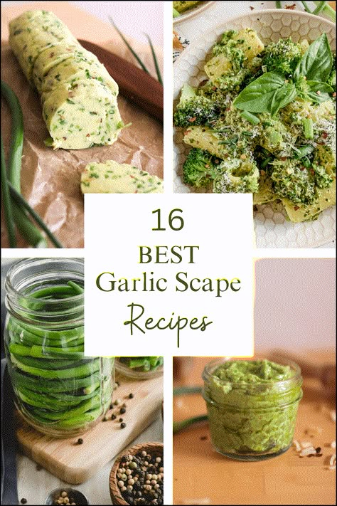 best garlic scape recipes Garlic Scapes Recipes, Scape Pesto Recipe, Scape Recipes, Preserving Garlic, Garlic Scape Pesto, Asparagus Dishes, Harvesting Garlic, Garlic Scapes, Homegrown Food