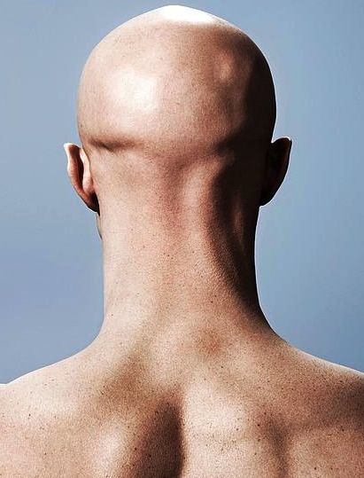 Bald man's head, rear view Head Turn Around, Head From Behind Reference, Male Neck Reference, Bald Man Drawing, Head Back View, Head From Behind, Neck Reference, Bald Head Man, Bald Person