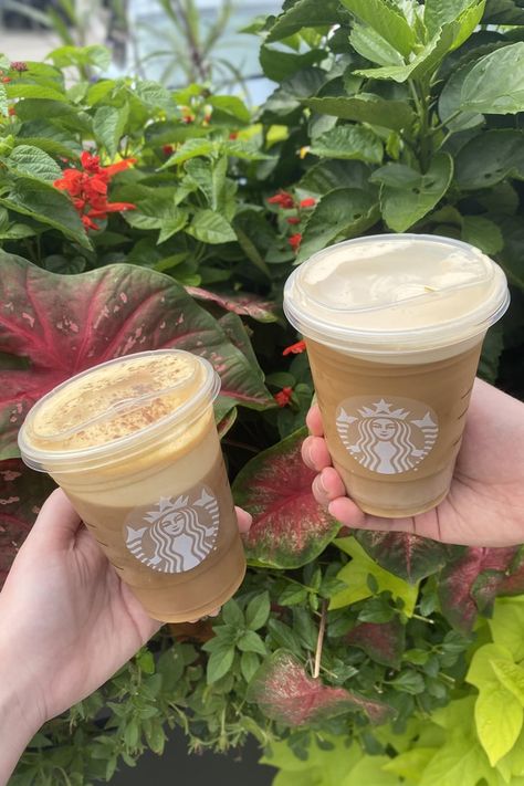 The Best Starbucks Nitro Cold Brew With Sweet Cream Flavors Nitro Cold Brew Starbucks, Starbucks Nitro Cold Brew, Cold Brew Recipes, Cold Brew Recipe, Starbucks Locations, Cold Brew At Home, Iced Starbucks Drinks, Nitro Coffee, Nitro Cold Brew