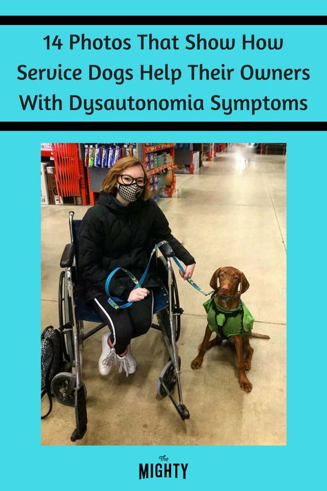 Dysautonomia Symptoms, Autonomic Dysfunction, Service Dogs Breeds, Dysautonomia Awareness, Psychiatric Service Dog, Dysautonomia Pots, Psychiatric Services, Service Dog Patches, Service Dogs Gear