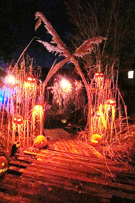 Halloween Bridge Decor, Haunted Corn Field Decor, Diy Corn Stalks, Witchtober 2023, Scare House, Halloween Campsite, Spooky Walk, Halloween Scenery, Bamboo Plastic