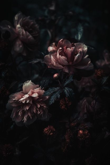 Premium Photo | A dark background with flowers and a dark background