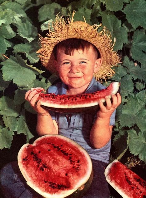 All Smiles. Little boy eating watermelon Watermelon Photoshoot, Watermelon Farm, Watermelon Head, Watermelon Farming, Watermelon Crawl, Watermelon Illustration, Watermelon Patch, Watermelon Day, Seasons In The Sun