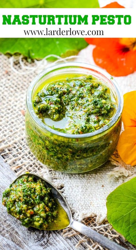 Nasturtium Pesto Vegan, Preserving Nasturtium, Nasturtium Leaves Recipes, Indoor Nasturtium, Nasturtium Pesto, Nasturtium Recipes, Dip With Veggies, Recipes Pesto, Edible Flowers Recipes