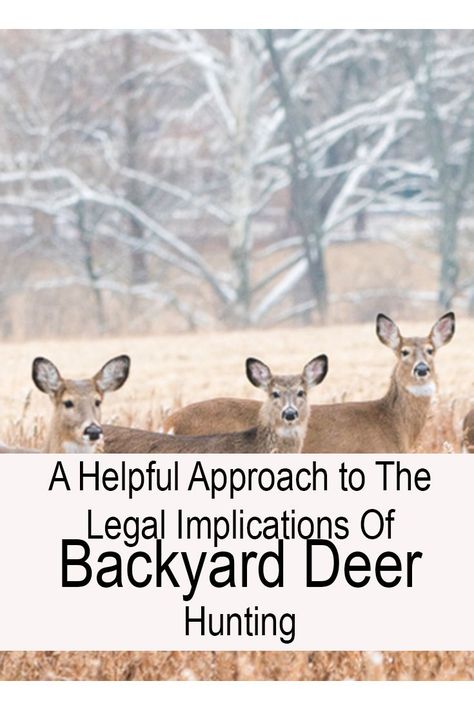 Random Tips, Animal Games, Deer Hunting, Pros And Cons, Travel Fun, Mammals, Deer, Hunting, Yard