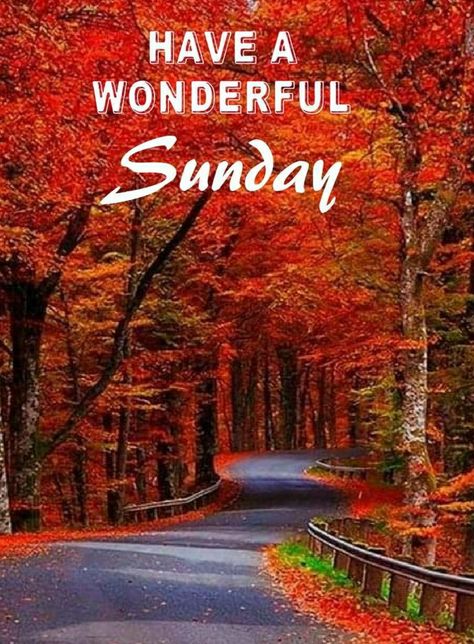 Happy Sunday Images, Good Morning Sunday Images, Sunday Morning Quotes, Sunday Greetings, Good Sunday Morning, Sunday Wishes, Sunday Blessings, Sunday Images, Daily Greetings