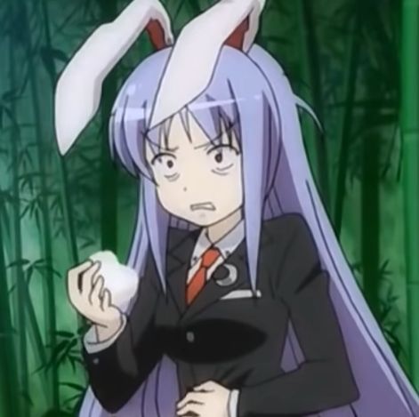 Reisen Udongein Inaba, Touhou Anime, Kemono Friends, Funny Profile, Concept Art Drawing, Anime Jokes, Daily Drawing, Funny Profile Pictures, Cartoon Jokes