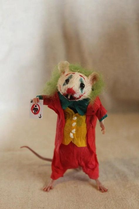 Thing To Do With Friends, Mouse Taxidermy, Taxidermy Rat, Funny Taxidermy, Dancing Mice, Bad Taxidermy, Rattus Rattus, Image Joker, Get Scared