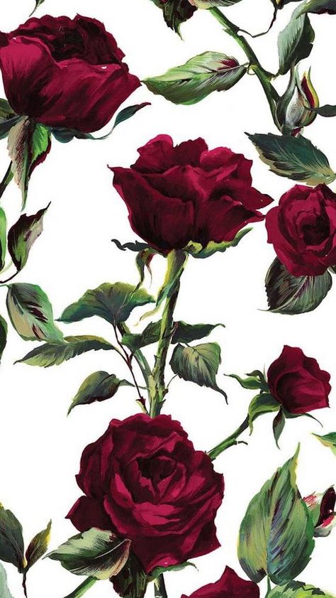 Download Rose wallpaper by Gvozdenac - 71 - Free on ZEDGE™ now. Browse millions of popular cy Wallpapers and Ringtones on Zedge and personalize your phone to suit you. Browse our content now and free your phone Klwp Wallpaper, Wallpaper Oneplus, Iphone Backgrounds, Samsung S10, Trendy Flowers, Flowers Wallpaper, Rose Wallpaper, Cute Backgrounds, Screen Wallpaper