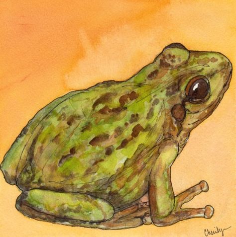 Toad Painting, Watercolor Frog Tutorial, Frog And Toad Painting, Frog Art Watercolor, Tree Frog Watercolor, Frog Painting Realistic, Frog Watercolor, Frog Painting, Frog Drawing