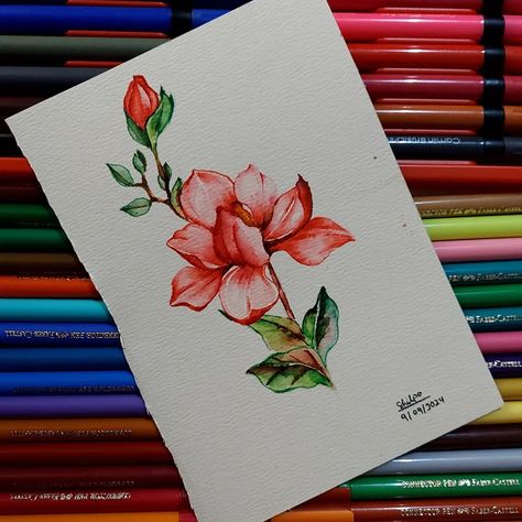 A quick and simple illustration using camlin brush pens and fabercastell connector pens.... . . . #art #artist #artwork #painting #illustration #flowers #flower #bud #artworks #arttherapy #artsy #arte #artlover #sketchpen #brushpen #watercolor #watercolorart #watercolour #watercolorpainting #illustrationartists #illustrations #botanicalart #botanicalillustration #botanical #artgram #instaart #nature #artistsofinstagram #pink Camlin Brush Pen Art, Brush Pen Art, Drawing Ideas List, Brush Pens, Simple Illustration, Flower Bud, Pen Art, Illustration Artists, Brush Pen