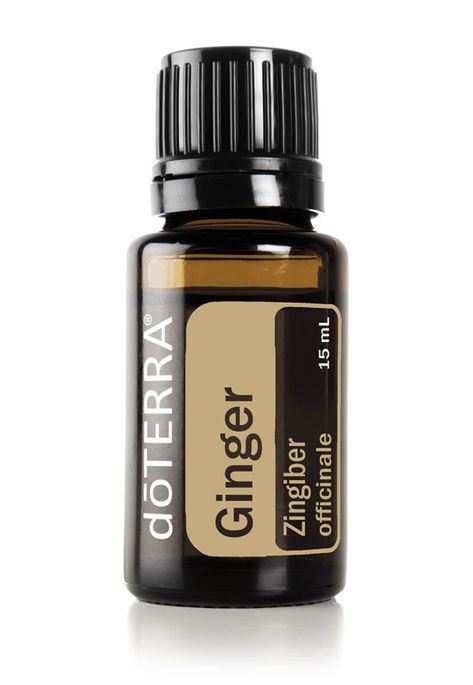 Ginger Oil | dōTERRA Essential Oils Doterra Cedarwood, Cassia Essential Oil, Doterra Serenity, Do Terra, Vetiver Oil, Ginger Plant, Vetiver Essential Oil, Ginger Essential Oil, Ginger Oil