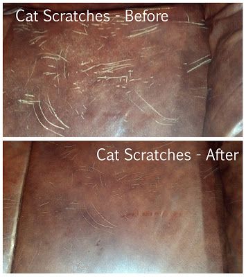 Four Sisters Farm: Cat Scratch Fever - Leather Furniture Restored...Somewhat Cleaning Leather Couch, Leather Couch Repair, Leather Furniture Repair, Farm Cat, Repair Furniture, Couch Repair, Old Tee Shirts, Cat Farm, Leather Restoration