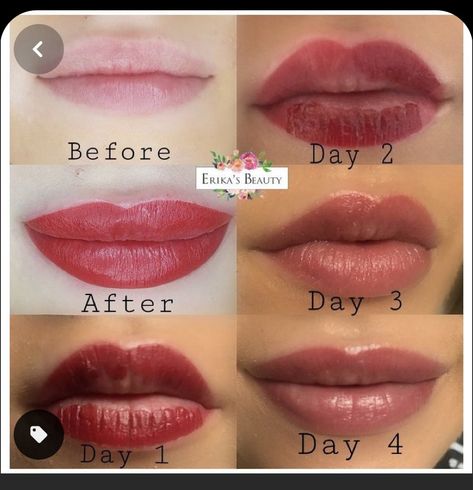 Process Tattoo, Lip Color Tattoo, Lip Liner Tattoo, Blush Lips, Lip Healing, Lip Permanent Makeup, Lip Blushing, Lips Tattoo, Lips Inspiration