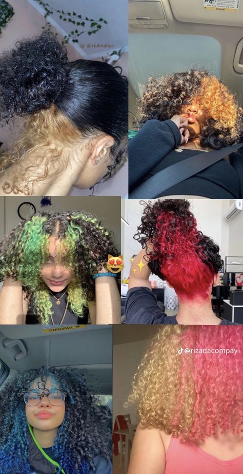 Part Hair Dyed, Curly Hair Dye Ideas Honey Blonde, Hair Color Ideas 2 Colors, Different Way To Dye Hair, Color For Curly Hair Ideas, Umbrella Hair Color, Types Of Ways To Dye Hair, Hair Color Ideas On Curly Hair, Hair Dyes For Curly Hair