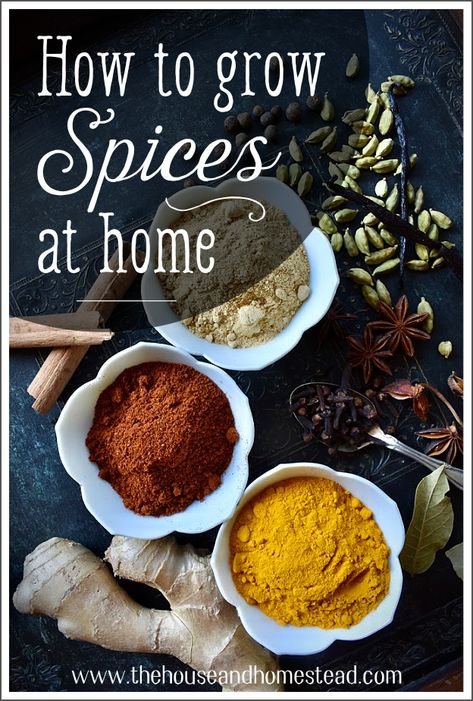 Spice Garden, Homegrown Food, Homesteading Diy, Homestead Farm, Herb Gardens, Compost Tea, Homesteading Skills, Mini Farm, Living Off The Land