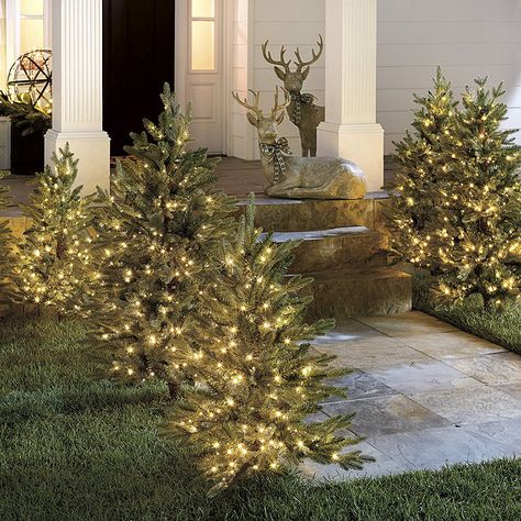 Staked Twinkling Frasier Fir Artificial Christmas Tree 3 Ft Frasier Fir, Outdoor Christmas Tree, Gift Ideas Christmas, Christmas Lighting, Christmas Front Porch, Christmas Front Doors, Holiday Christmas Tree, Outdoor Christmas Lights, Front Porch Christmas Decor