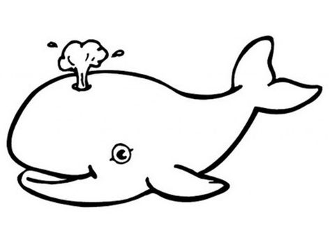 Blue Whale Coloring Pages Down By The Bay, Zoo Animal Coloring Pages, Whale Coloring Pages, Rabbit Pictures, Shark Coloring Pages, Farm Animal Coloring Pages, A Whale, Bible Crafts, Coloring Pages To Print