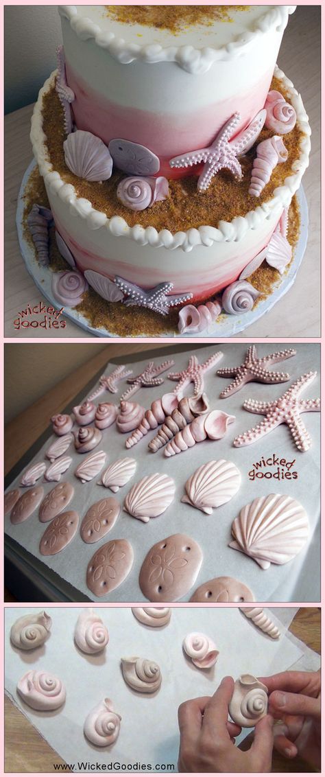 VIDEO: Modeling Chocolate Seashells - edible sand dollars, scallops, snails, and starfish for beach themed cake decorations by Wicked Goodies Chocolate Seashells, Seashell Cake, Edible Sand, Beach Themed Cakes, Sea Cakes, Beach Cakes, Sand Dollars, Modeling Chocolate, Mermaid Cakes