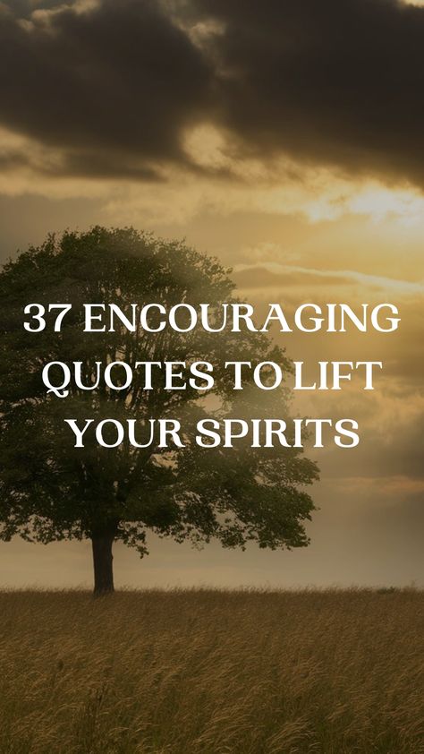 Feeling down? Daily Quotify has 37 uplifting quotes to encourage and inspire you. Read them now and feel the positivity! #EncouragingQuotes #StayStrong #Motivation Support Quotes Encouragement, Encouragement Quotes For Women Strength, Positive Encouragement Quotes, Joseph Campbell Quotes, Spiritual Uplifting Quotes, Quotes To Lift Your Spirits, Mandela Quotes, Tough Times Quotes, Nelson Mandela Quotes