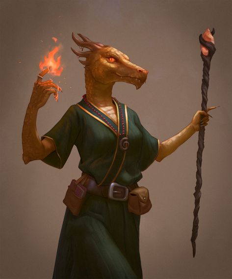 Gold Dragonborn, Dragonborn Sorcerer, Dnd Commission, Sorcerer Dnd, Female Dragonborn, Dnd Dragonborn, Dnd Npc, Dragon Born, Dnd Inspiration