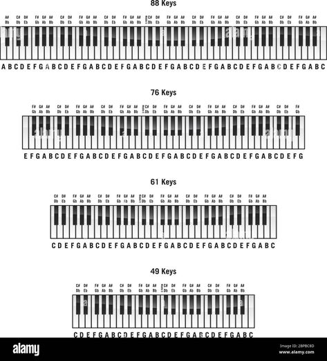 Download this stock vector: Piano keyboards in standard 88 key, 76 key, 61 key and 49 key layouts, with labels, isolated vector illustration - 2BPBC8D from Alamy's library of millions of high resolution stock photos, illustrations and vectors. 36 Key Keyboard Notes, Piano Labels Keys, Printable Piano Keyboard, 61 Key Keyboard Notes, Key Signature Chart, Piano Numbers On Keys, Keyboard Piano Notes Songs, Piano Keys Labeled, Yamaha Piano Keyboard