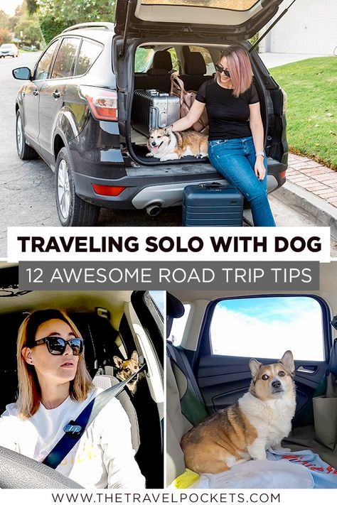 Traveling solo with your dog on the road Road Trip With Dog, Solo Vacation, Colorful Hairstyles, Road Trip Camping, Traveling Alone, Cross Country Road Trip, American Road Trip, Dog Adventure, Travel Nursing